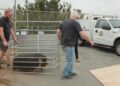 Refugios rescataron a cientos de animales de granja en San Diego