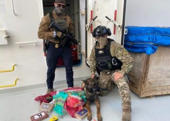 HSI y Guardia Costera incautan $6.4 millones en cocaína en Puerto de Los Ángeles