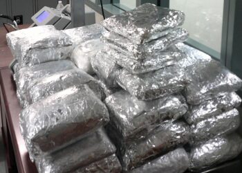 Decomisan cargamentos de drogas en la frontera con San Diego