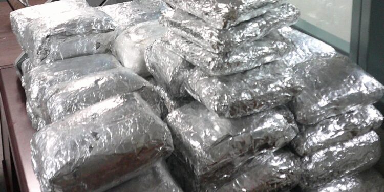 Decomisan cargamentos de drogas en la frontera con San Diego
