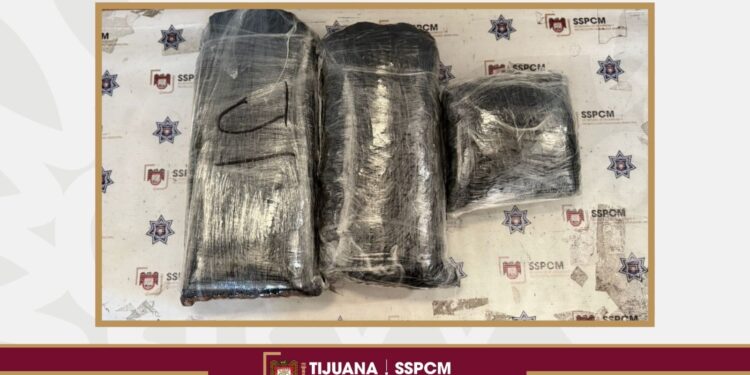 Descubren otro caso de “mula ciega” en automóvil de Tijuana