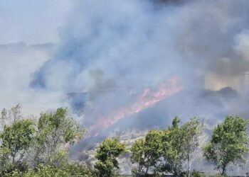 Incendio Airport Fire provoca evacuaciones en Oceanside