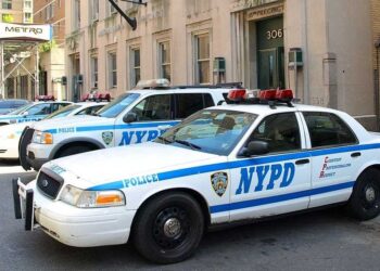 Encuentran restos humanos en escuela de Nueva York