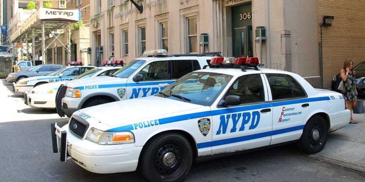 Encuentran restos humanos en escuela de Nueva York