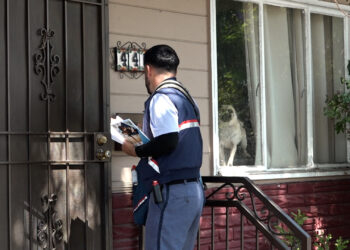 california-mayor-cantidad-agresiones-caninas