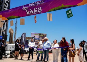 Viñadas reúne a miles en Valle de Guadalupe