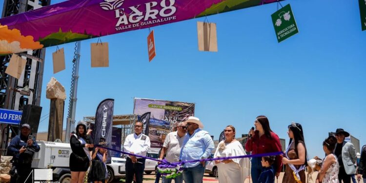 Viñadas reúne a miles en Valle de Guadalupe
