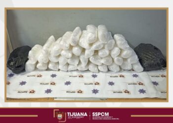 Hallan más de 17 kilos de droga en caso de “mula ciega”