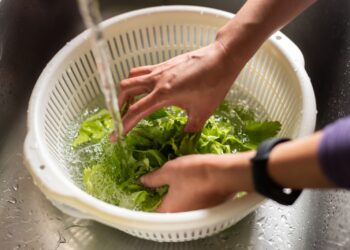 Cyclospora: qué es y cómo prevenir la infección alimentaria