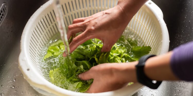 Cyclospora: qué es y cómo prevenir la infección alimentaria