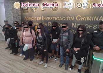 Decomisan 165 kilos de droga y arrestan a 11 pasajeros en el Aeropuerto de Tijuana