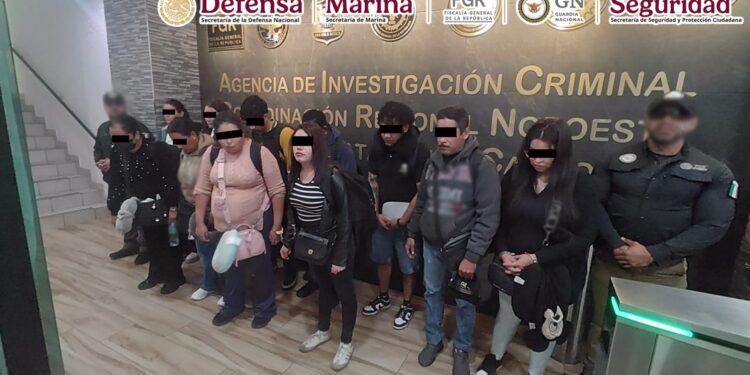 Decomisan 165 kilos de droga y arrestan a 11 pasajeros en el Aeropuerto de Tijuana
