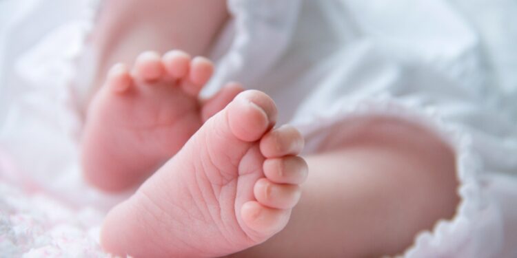 Otorgarán 1,000 dólares a niños nacidos durante la administración Trump