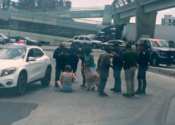 Turista de San Diego fue baleada en Tijuana tras intento de robo