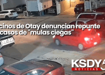 Vecinos de Otay denuncian repunte en casos de “mulas ciegas”