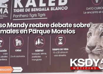 Caso Mandy reabre debate sobre animales en Parque Morelos