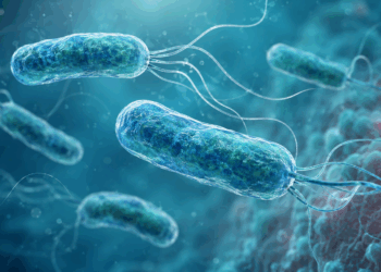 Alertan por bacteria “comecarne”: esto es todo lo que debes saber