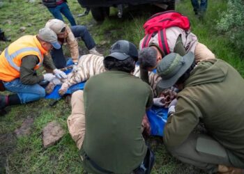 Muere durante operativo tigre que escapó en Estado de México