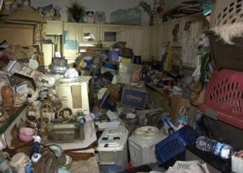 Empleada postal arrestada en Florida por confinamiento insalubre de 92 animales