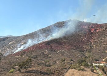Incendio en Dehesa quema 93 acres y se encuentra 5% contenido cerca del casino Sycuan