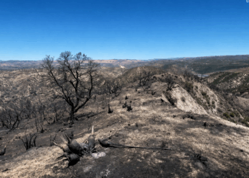 Publican evaluación sobre el clima y los incendios en California