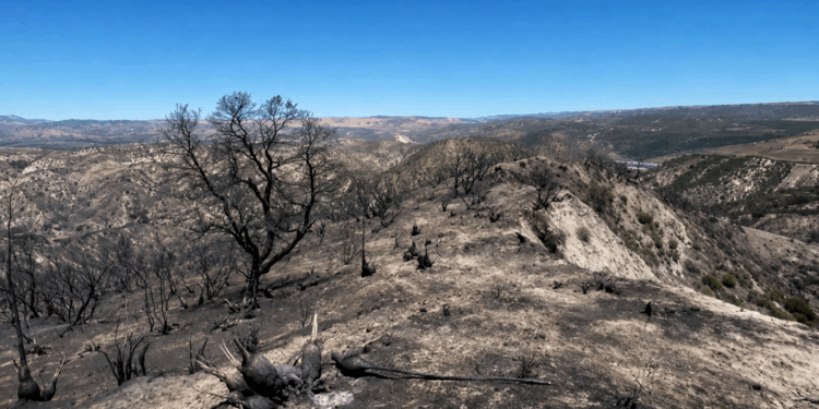 Publican evaluación sobre el clima y los incendios en California