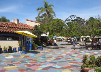 Estatua de lobo marino une arte y conservación en Balboa Park