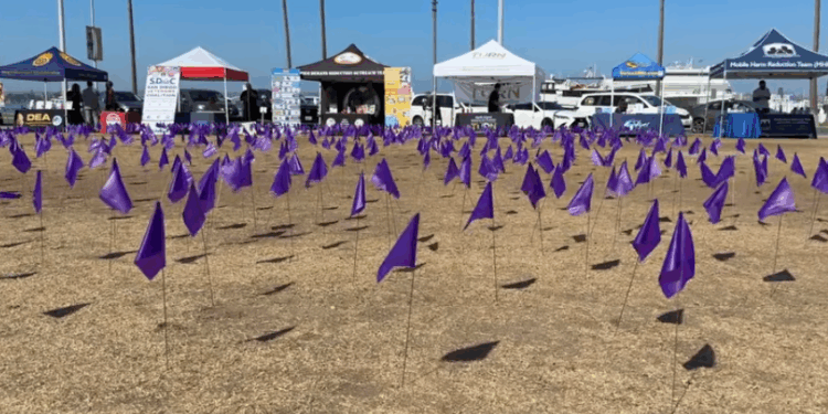 Condado de San Diego reporta disminución de muertes por sobredosis con 840 fallecimientos en 2025