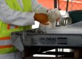 amplian-servicio-para-desechar-residuos-peligrosos-gratis
