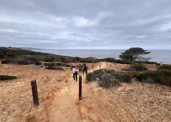 Reserva Natural Estatal Torrey Pines cerrará temporalmente desde el 22 de septiembre