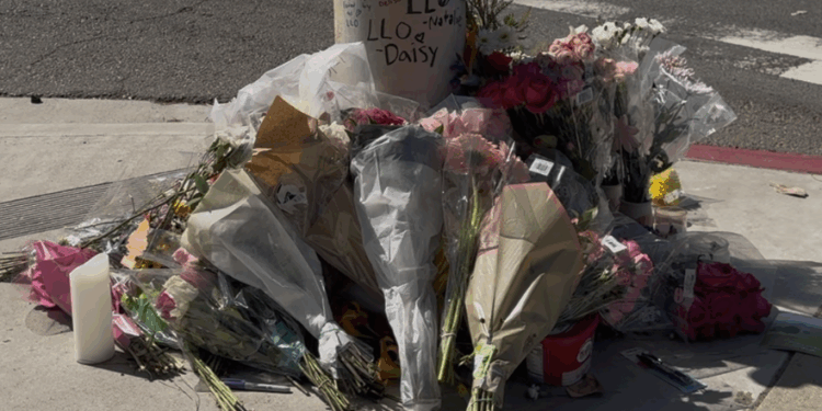Pacific Beach despide a Owen Harris tras fatal accidente en bicicleta eléctrica