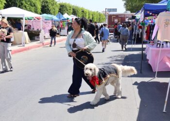 Ayuntamiento de Tijuana realiza jornada de bienestar animal y salud comunitaria