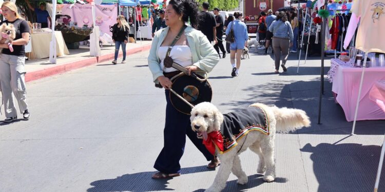 Ayuntamiento de Tijuana realiza jornada de bienestar animal y salud comunitaria