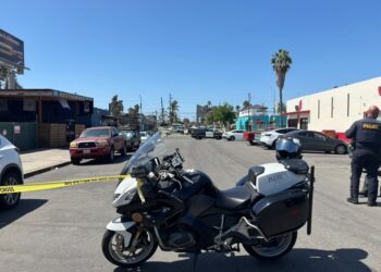Tres policías y un K-9 resultan heridos durante operativo en North Park