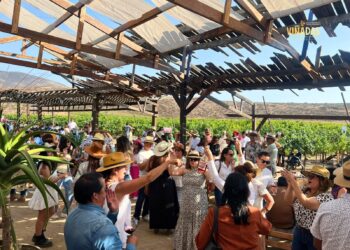 “Viñadas” atrae a más de 8 mil 500 visitantes al Valle de Guadalupe durante 2026
