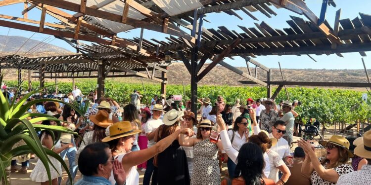 “Viñadas” atrae a más de 8 mil 500 visitantes al Valle de Guadalupe durante 2026