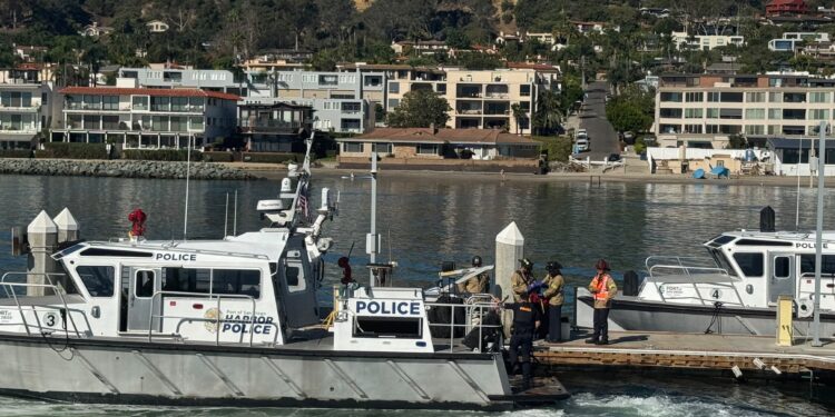 Refuerzan respuesta ante desastres marítimos con simulacro de rescate masivo