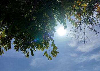 continua-advertencia-calor-extremo-preparativos-apagones