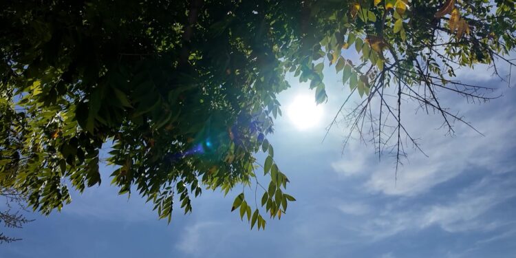 continua-advertencia-calor-extremo-preparativos-apagones